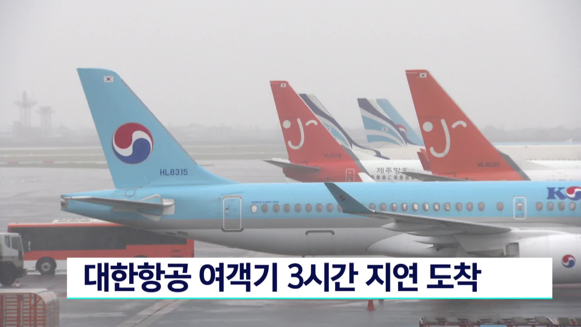 대한항공 여객기 3시간 지연 도착
