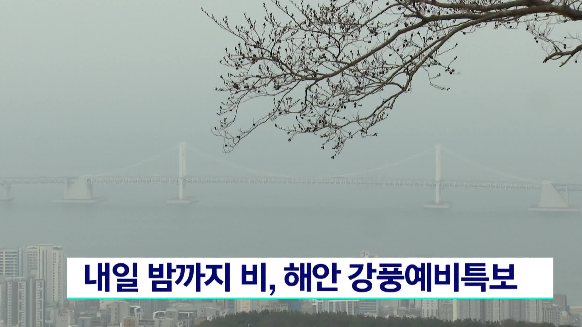 내일 밤까지 비..해안 강풍예비특보