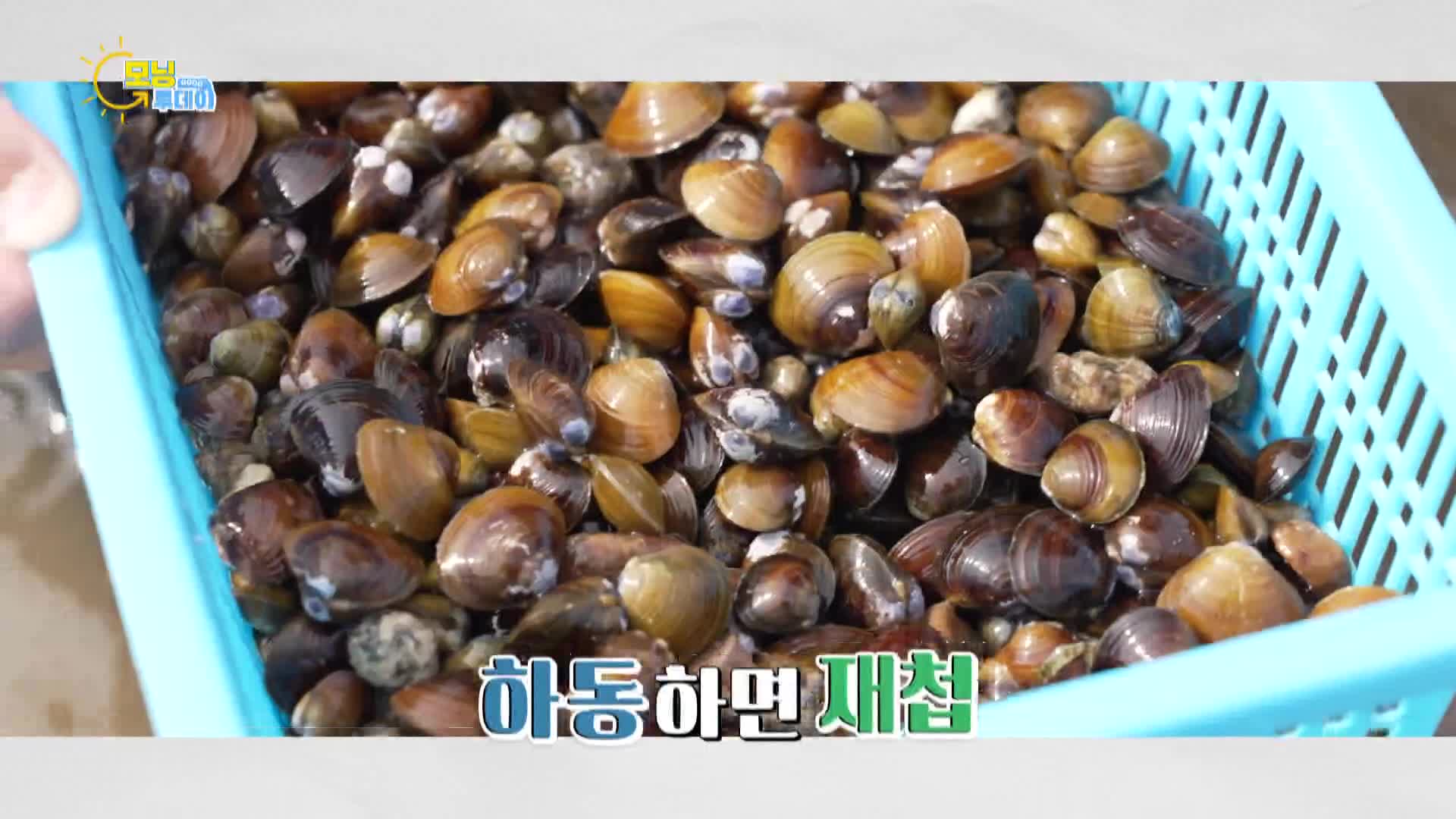 낭만 가득! 하동 재첩 축제