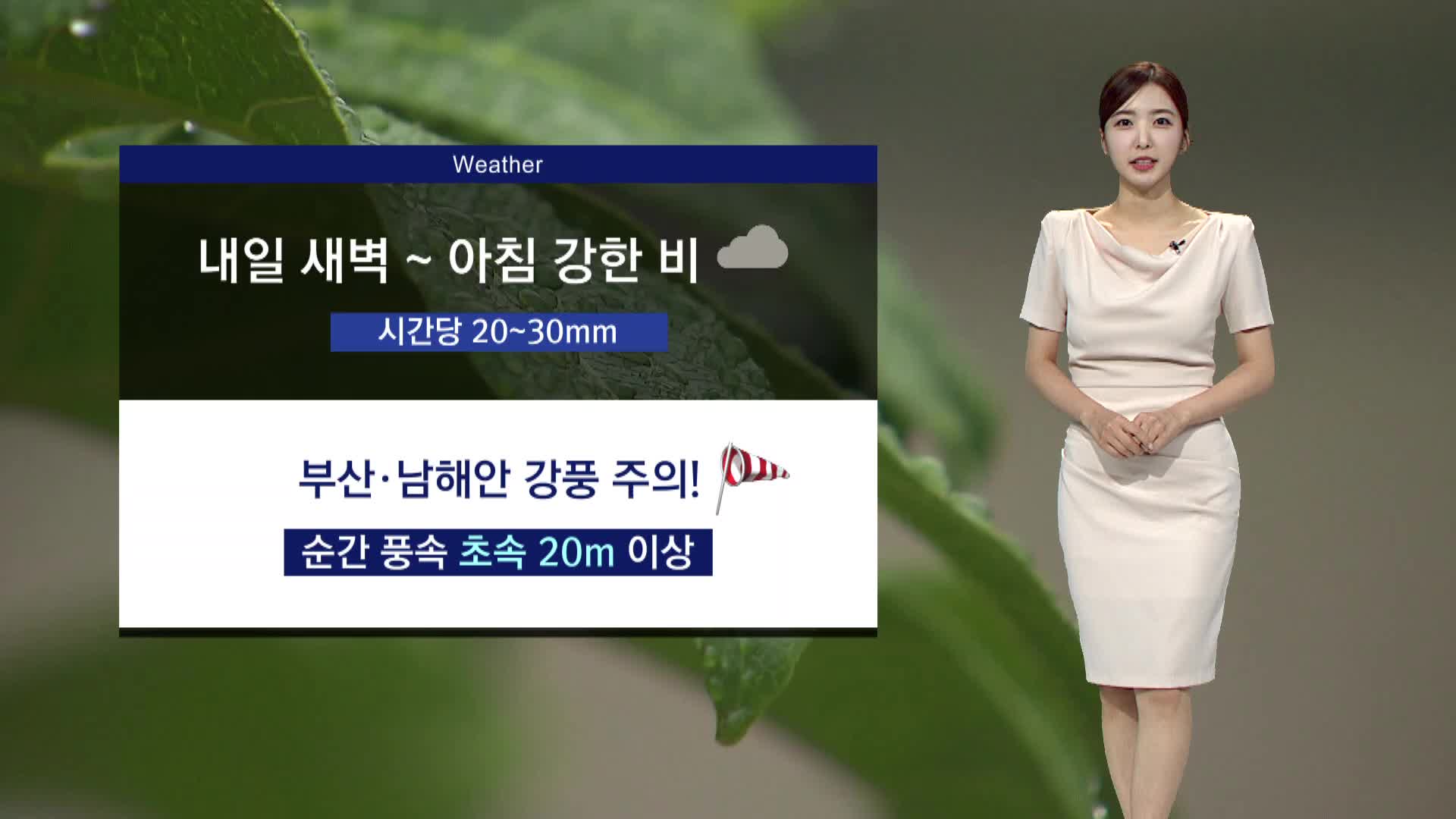 <박선민의 날씨> 내일 새벽부터 아침 강한 비 쏟아져