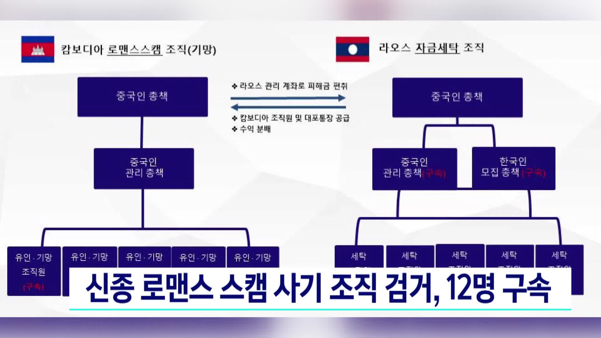 신종 로맨스스캠 사기 조직 검거, 12명 구속