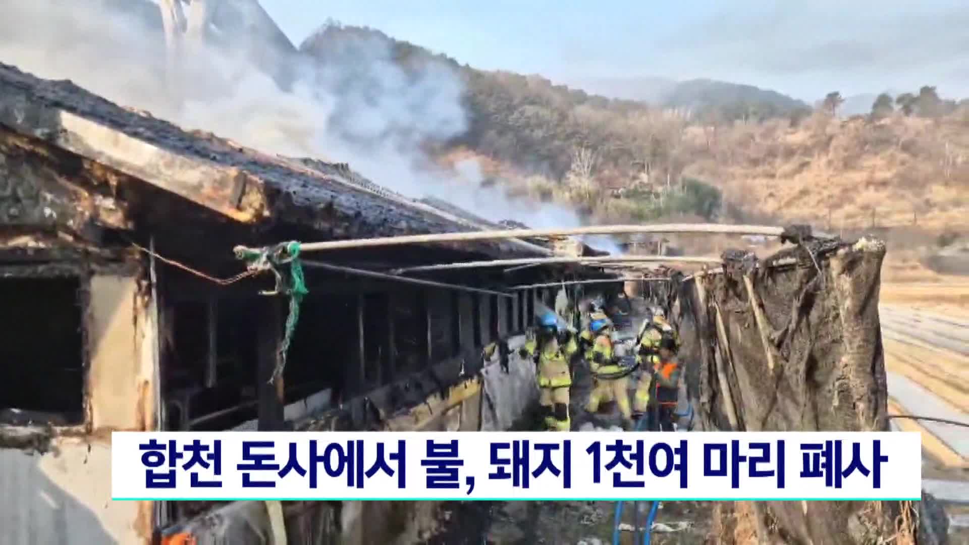 합천 돈사에서 불, 돼지 1천여 마리 폐사