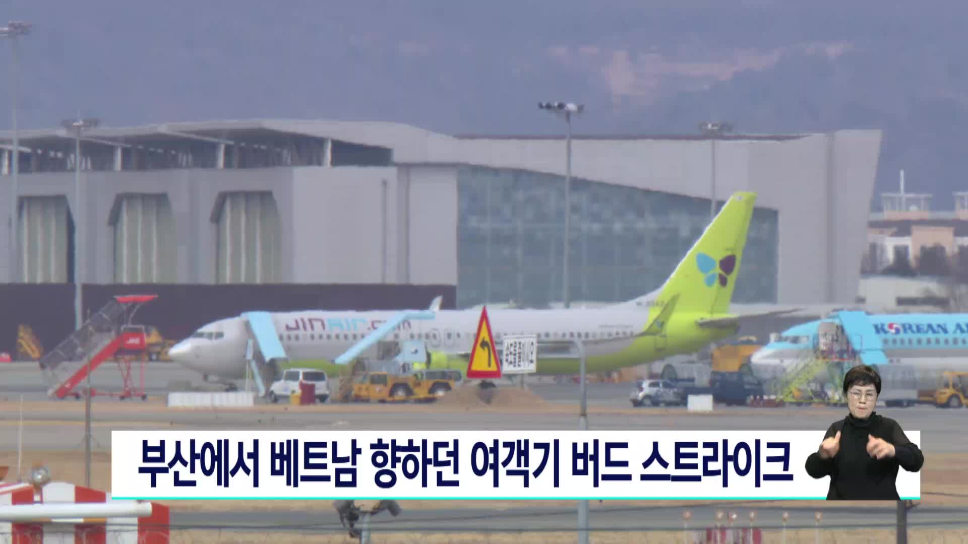 부산서 베트남 향하던 여객기 버드스트라이크