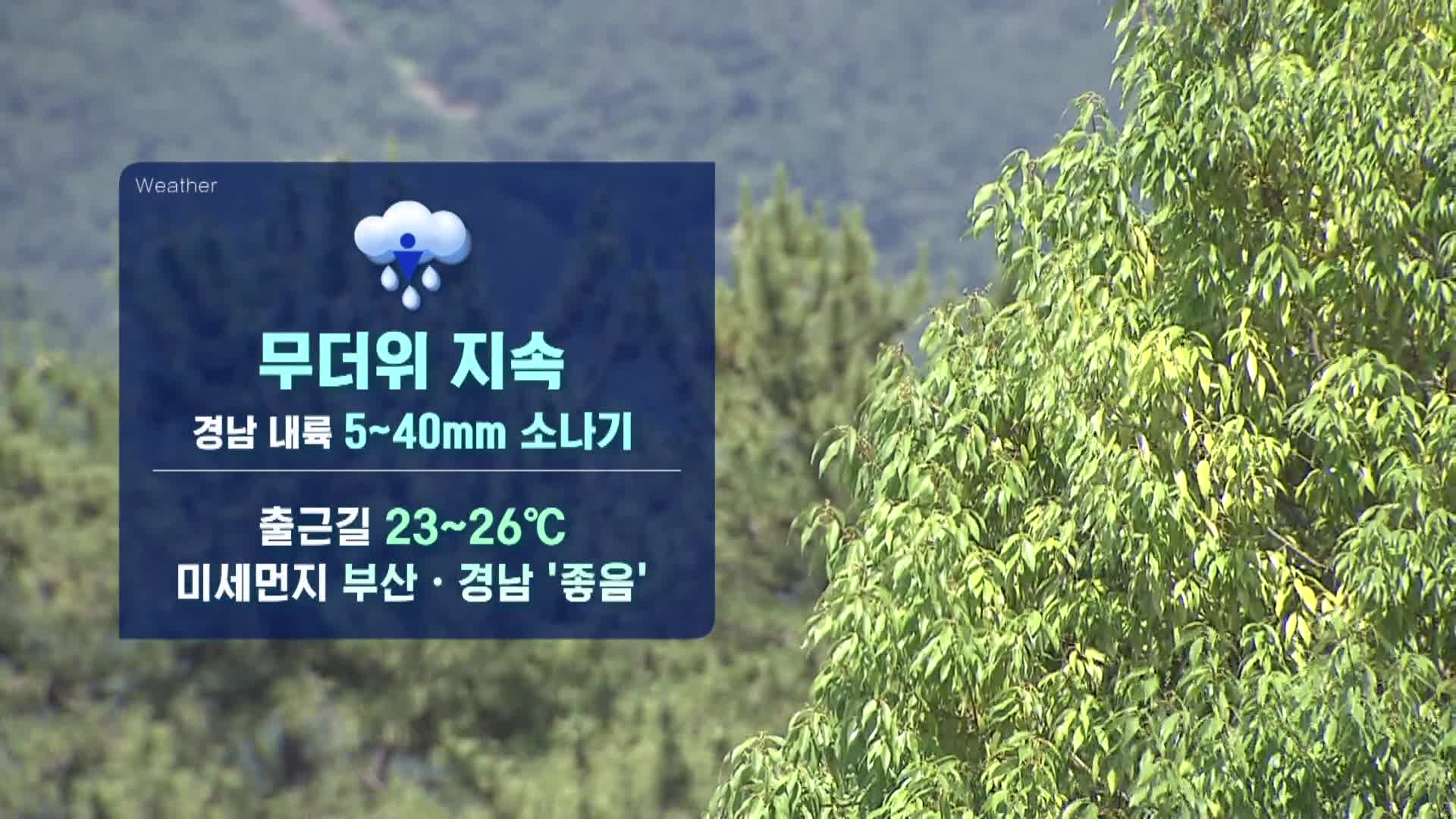 KNN 예보 그래픽