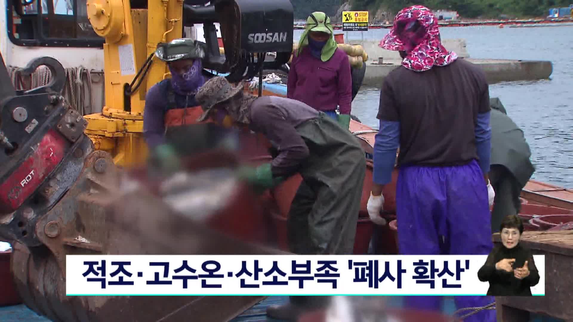 적조*고수온*산소부족 '폐사 확산'