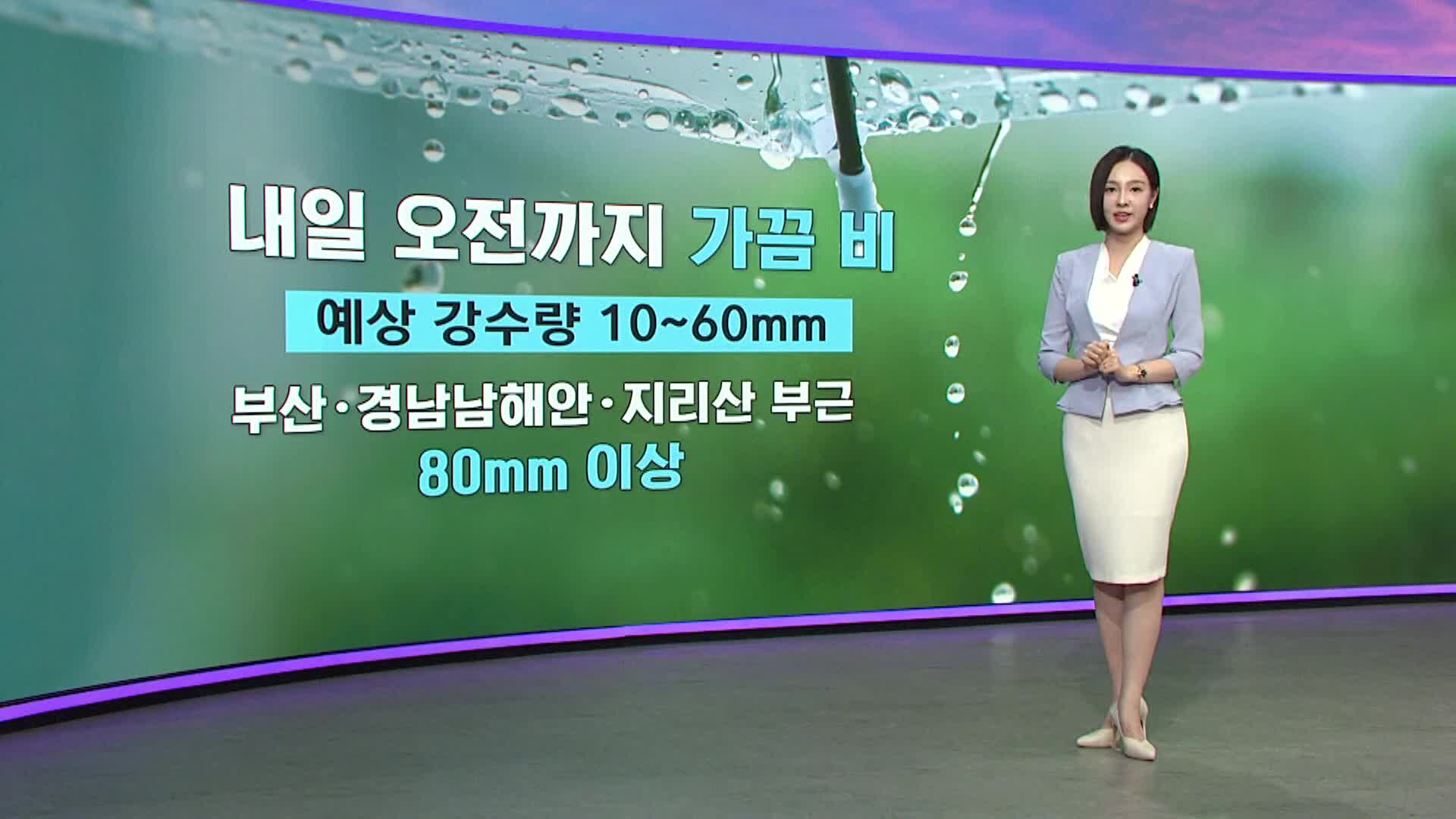 [아이날씨]내일 오전까지 비, 최대 80mm