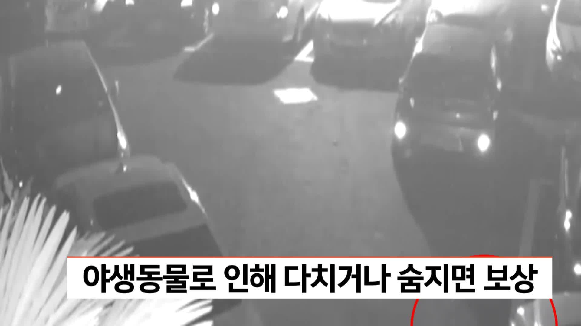 야생동물로 인해 다치거나 숨지면 보상