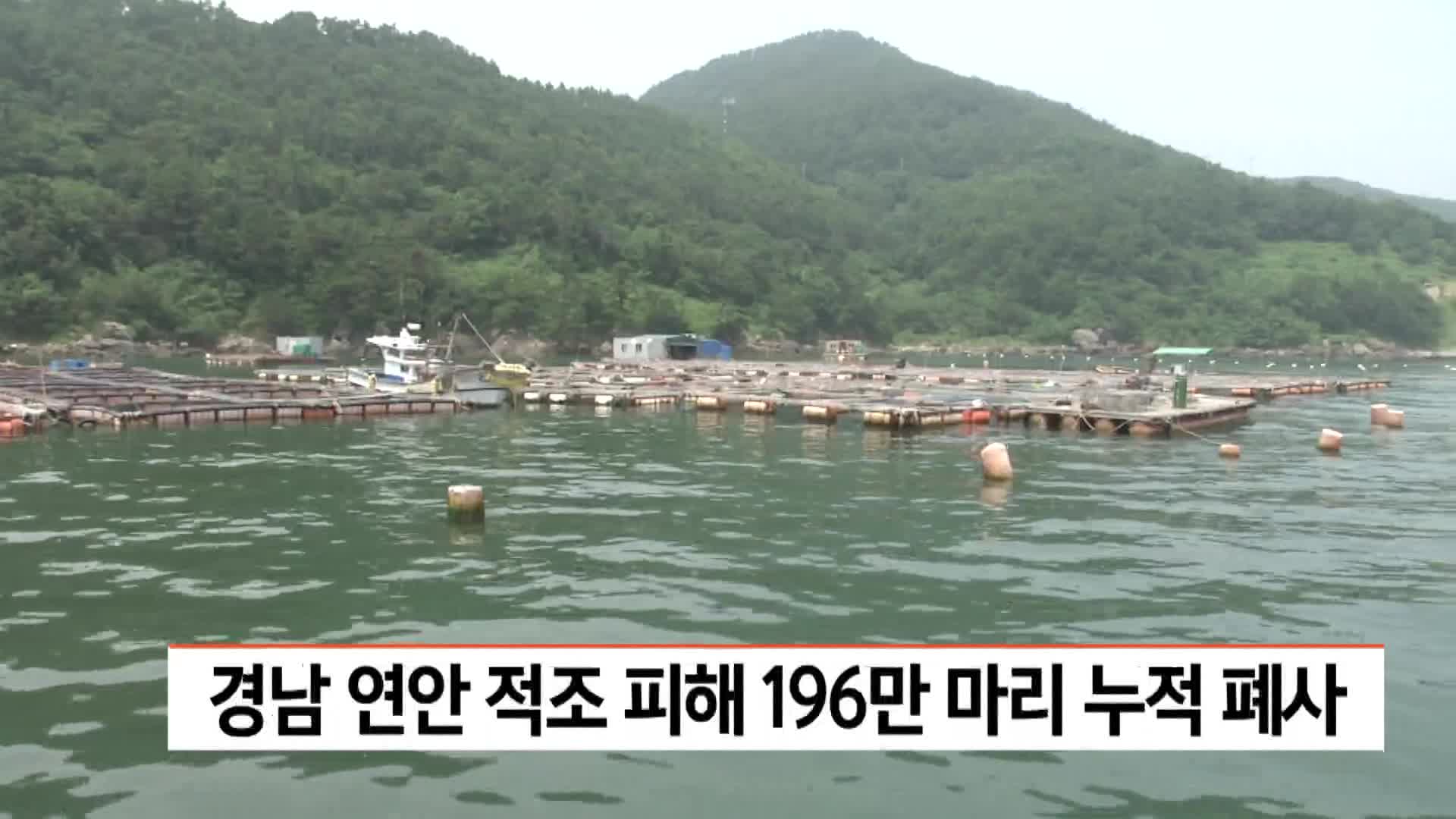 경남 연안 적조 피해 196만마리 누적 폐사 
