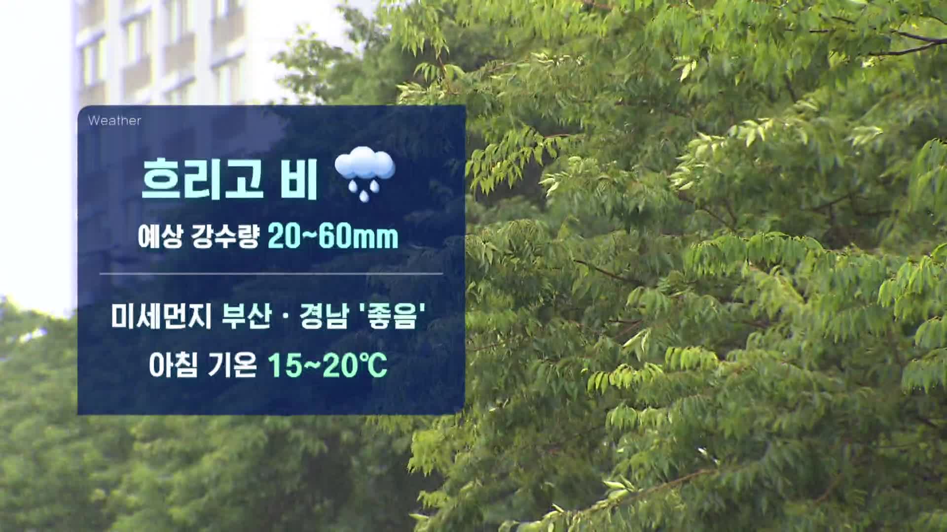 KNN 일기 영상 캡처