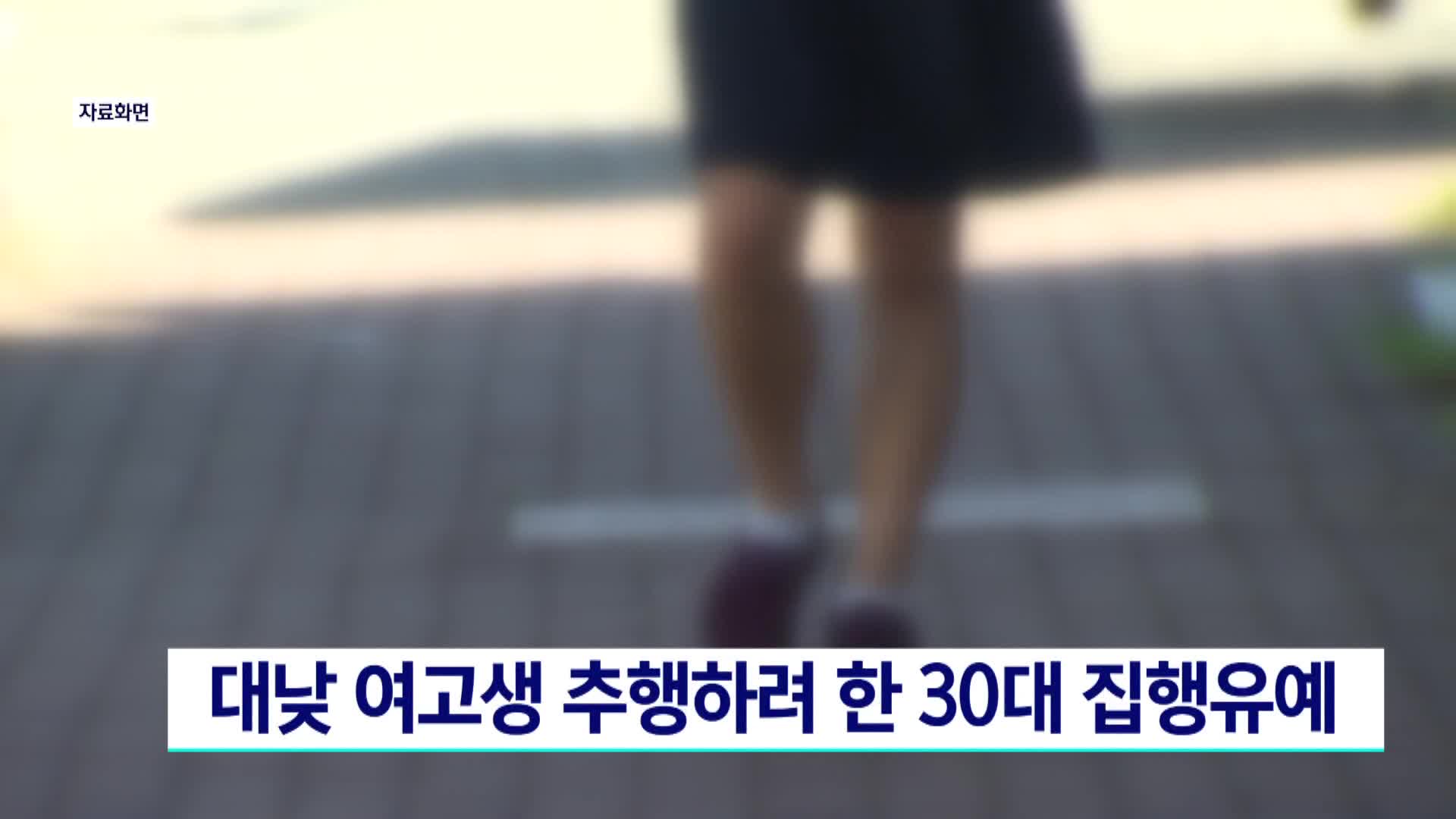 대낮 여고생 추행하려 한 30대 집행유예