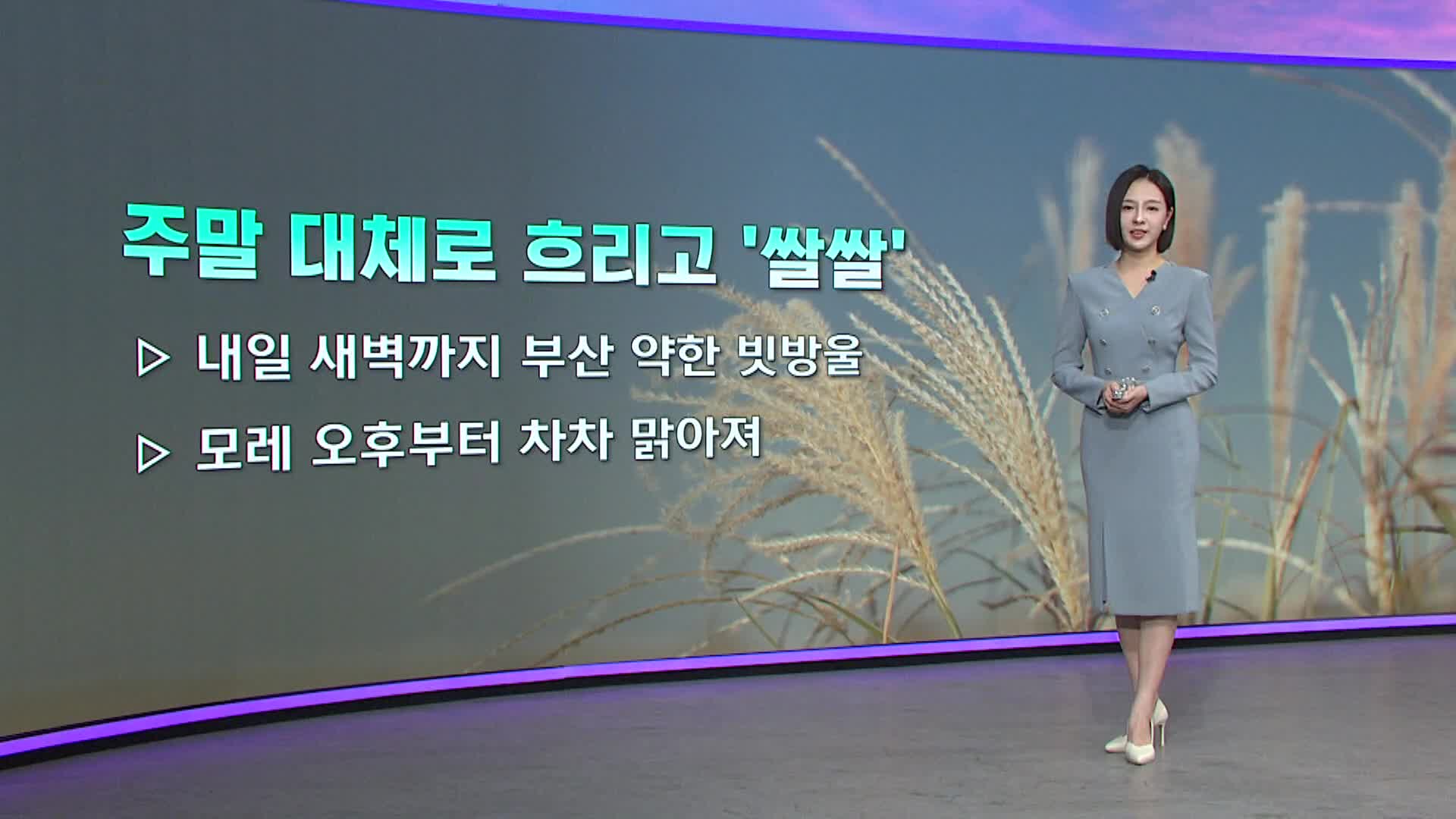 [아이날씨] 주말 대체로 흐리고 쌀쌀