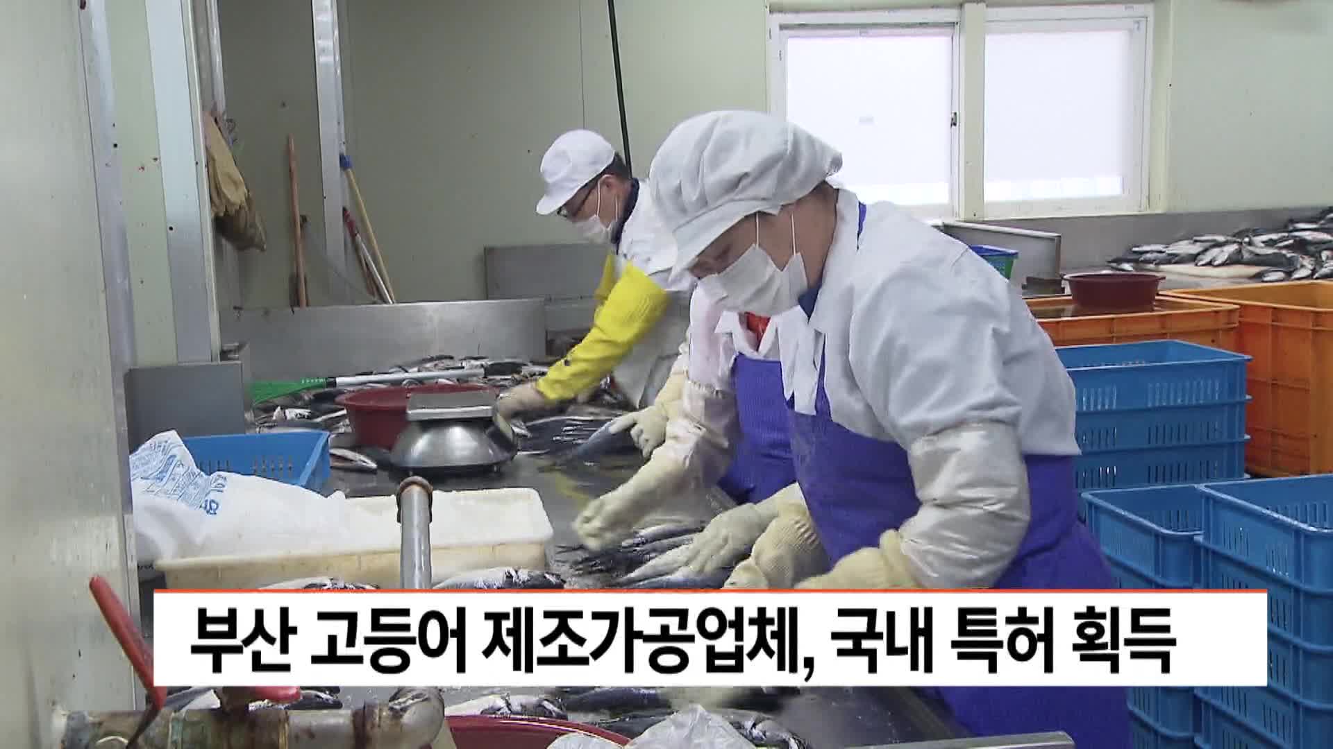 부산 고등어 제조가공업체, 국내 특허 획득