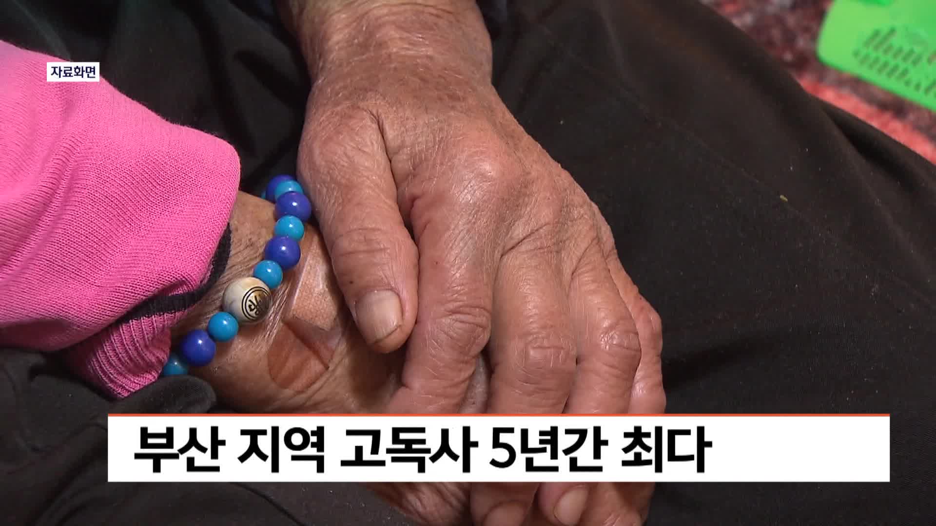  부산 지역 고독사 5년 간 최다