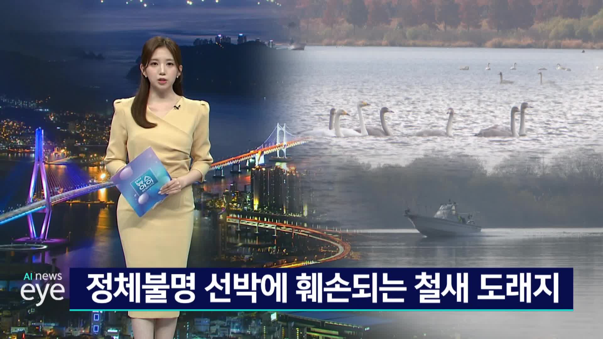 정체불명 선박에 훼손되는 철새도래지