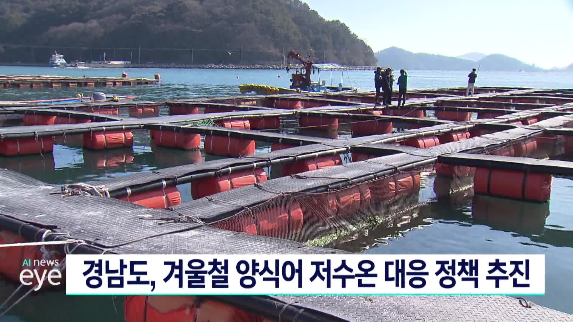 경남도, 겨울철 양식어 저수온 대응 정책 추진