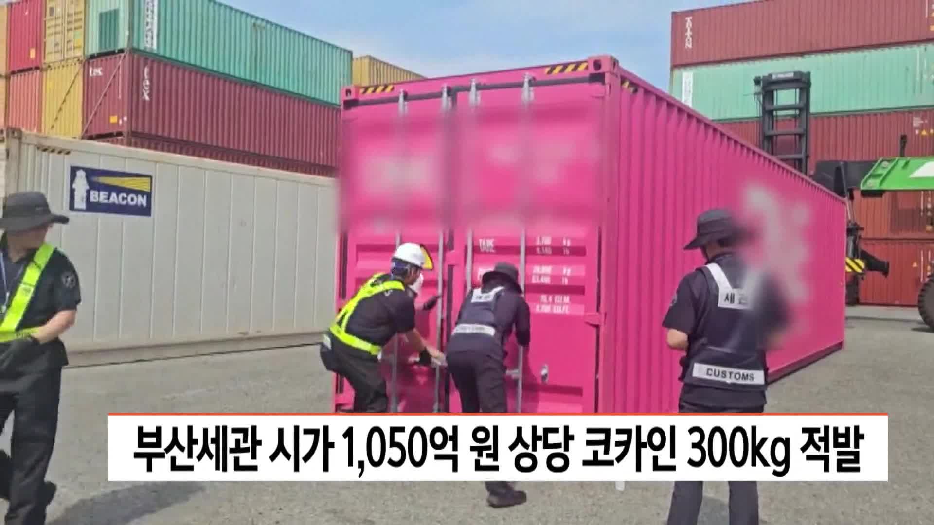 부산세관, 시가 천5십억 원 상당 코카인 300kg 적발