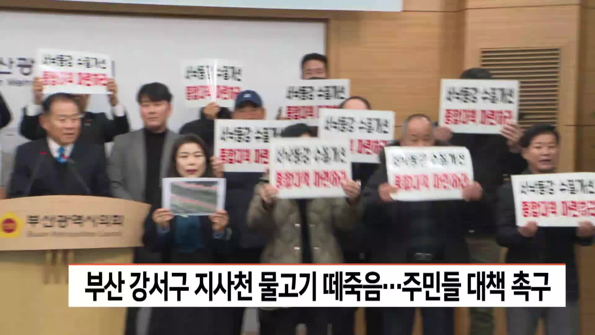 부산 강서구 지사천 물고기 떼죽음..주민들 대책 촉구