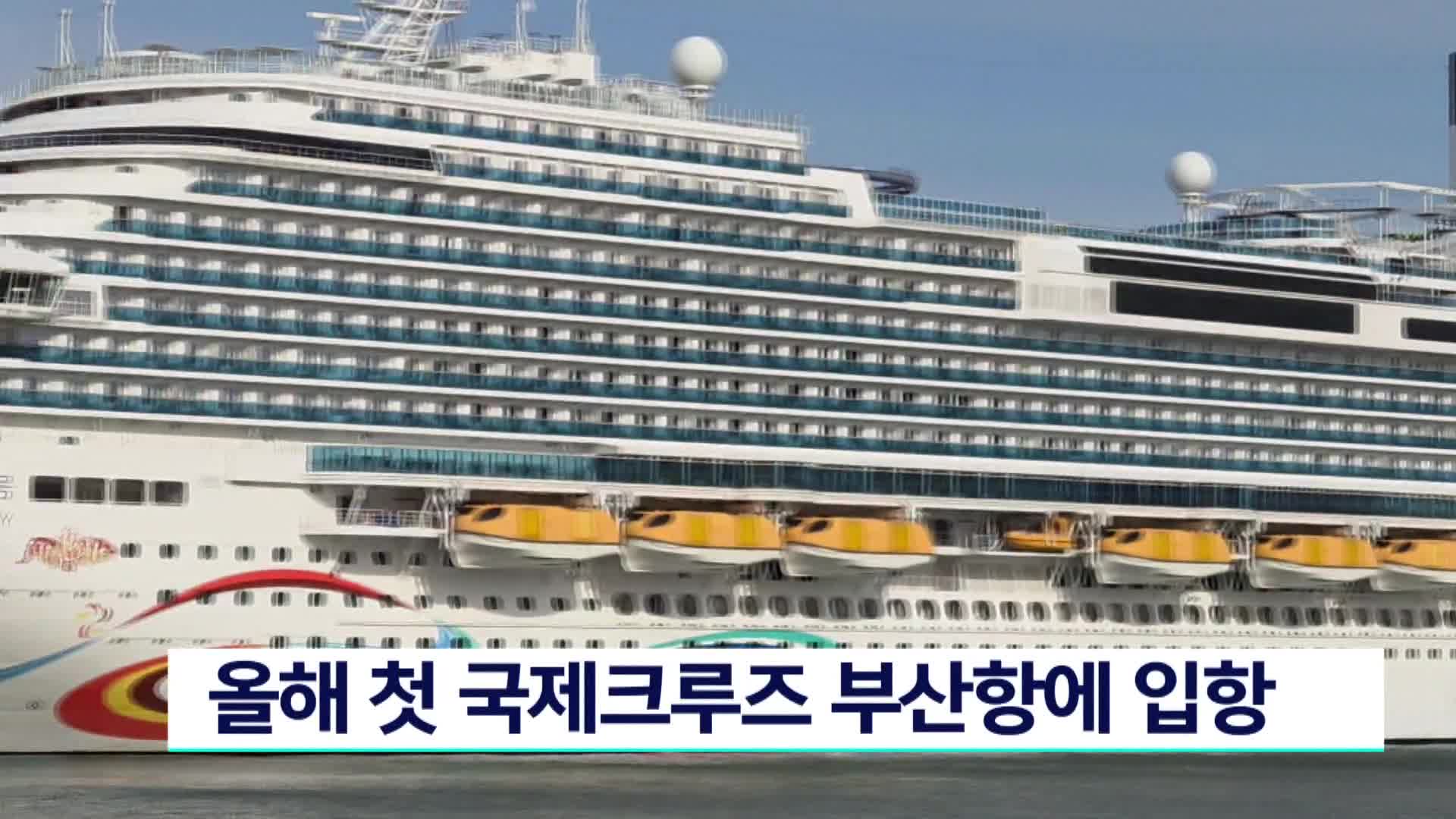 올해 첫 국제크루즈 부산항에 입항