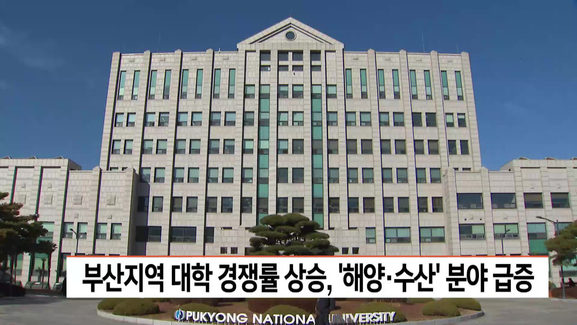 부산지역 대학 경쟁률 상승, '해양*수산' 분야 급증