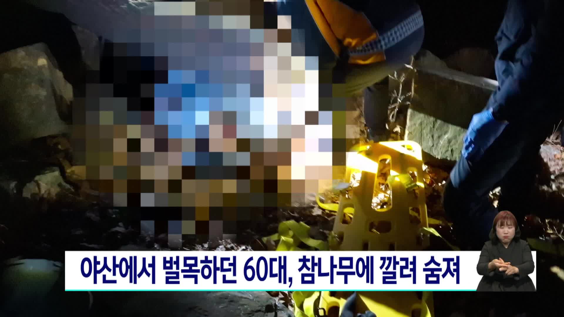 야산서 벌목하던 60대, 참나무에 깔려 숨져