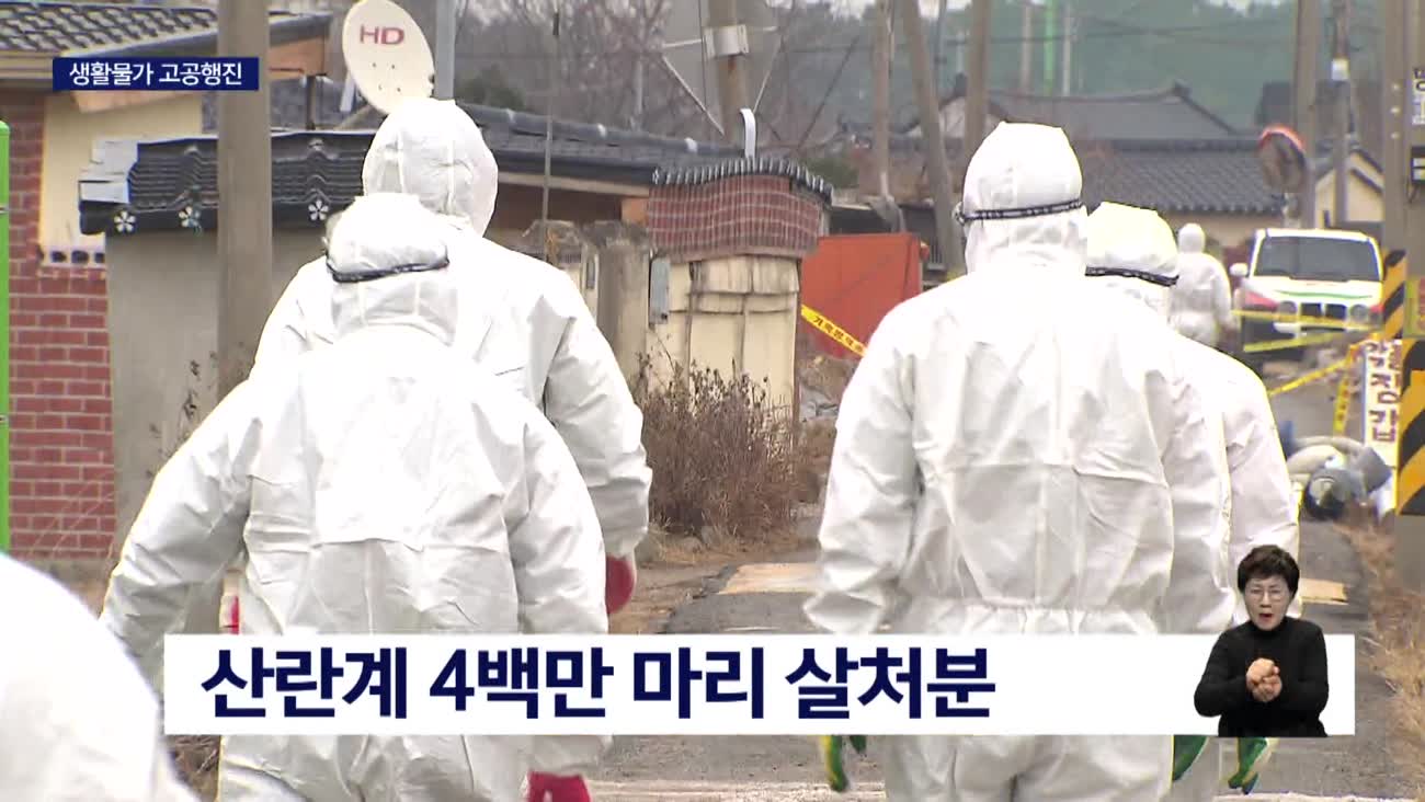 AI여파에 달걀값 급등... 한 판 8천 원 눈앞