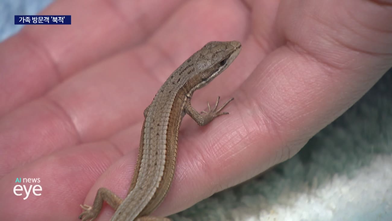 한파 속 실내 체험 인기..가족 나들이 북적