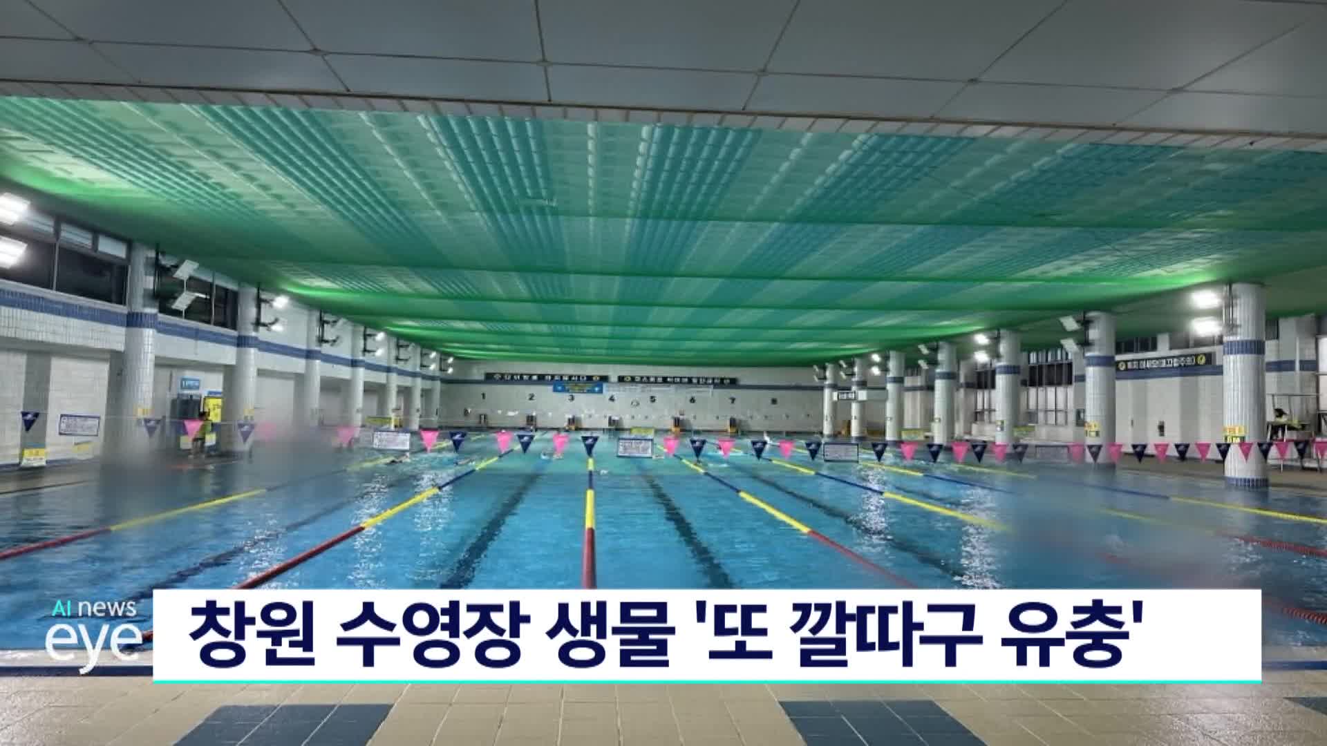 창원 수영장 생물 '또 깔따구 유충'