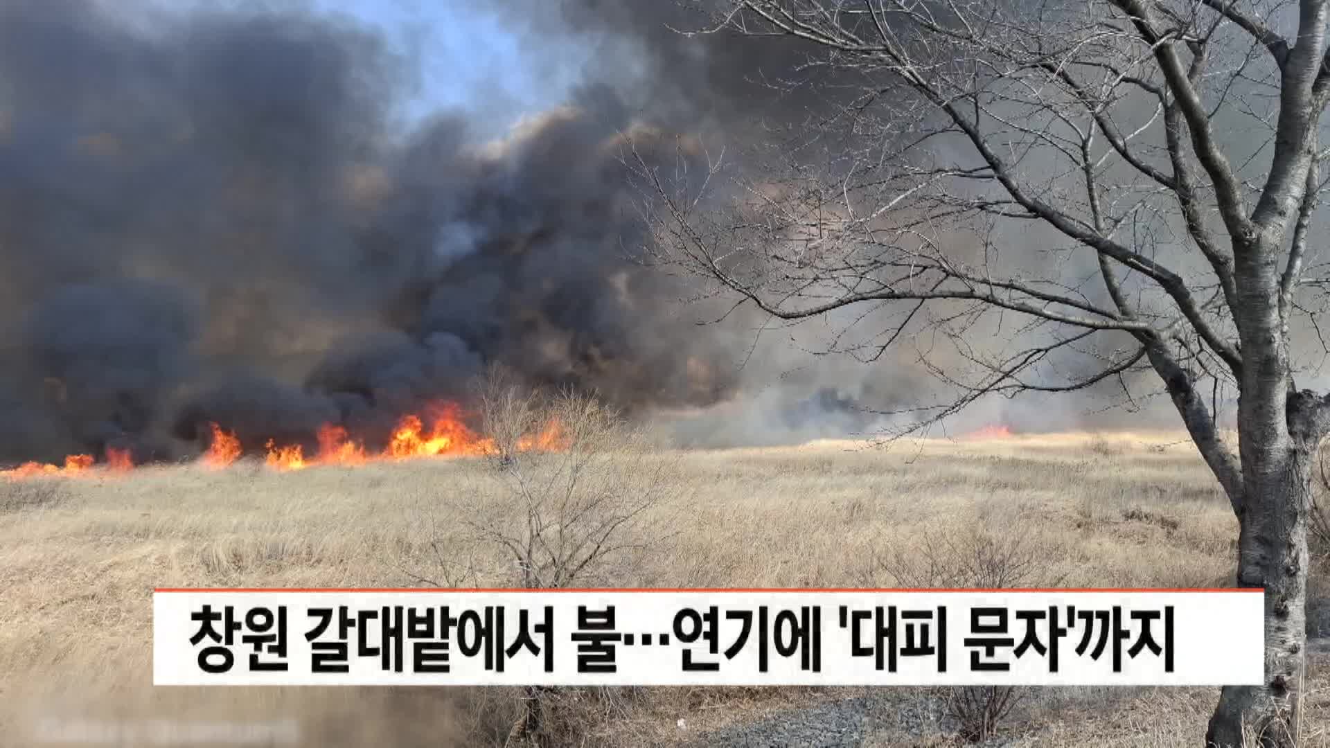 창원 대산면 갈대밭 화재..방화 용의자 긴급체포