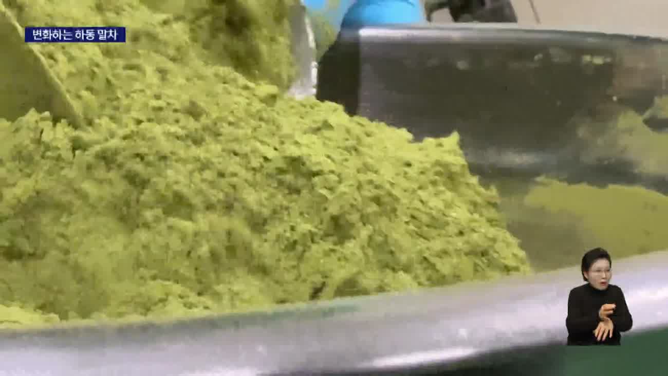 '말차 열풍' 국내 최대 차(茶) 산지 하동이 뜬다