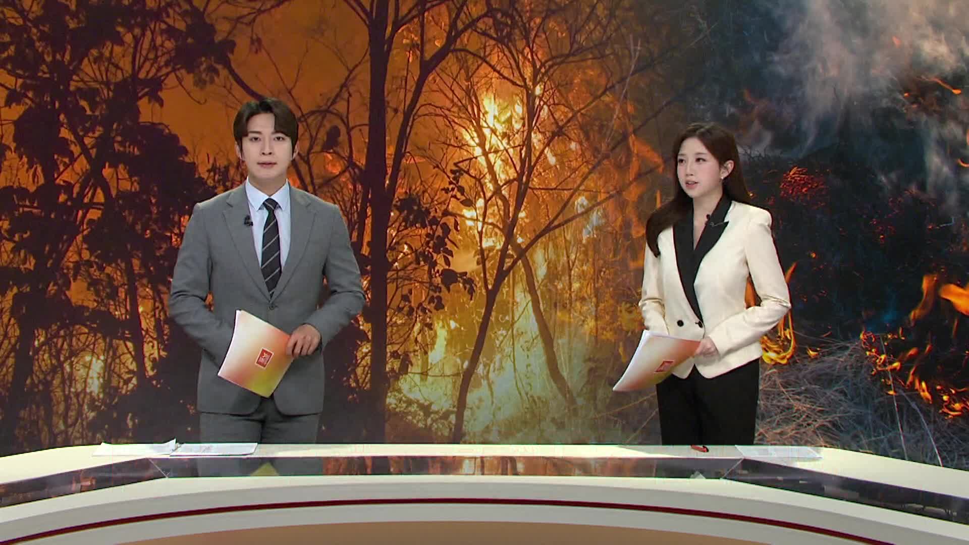 부산 동래구 쇠미산 산불, 9시간만에 큰 불 진화