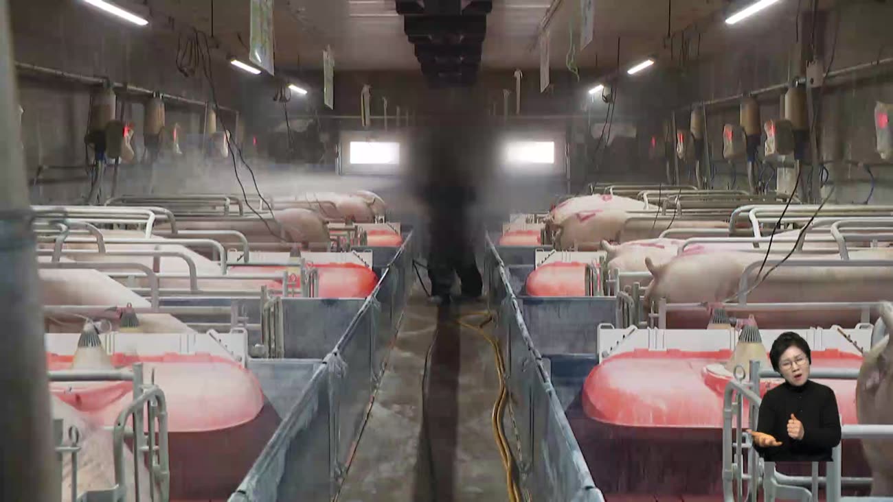 돼지열병에 조류인플루엔자까지...경남 농가 비상