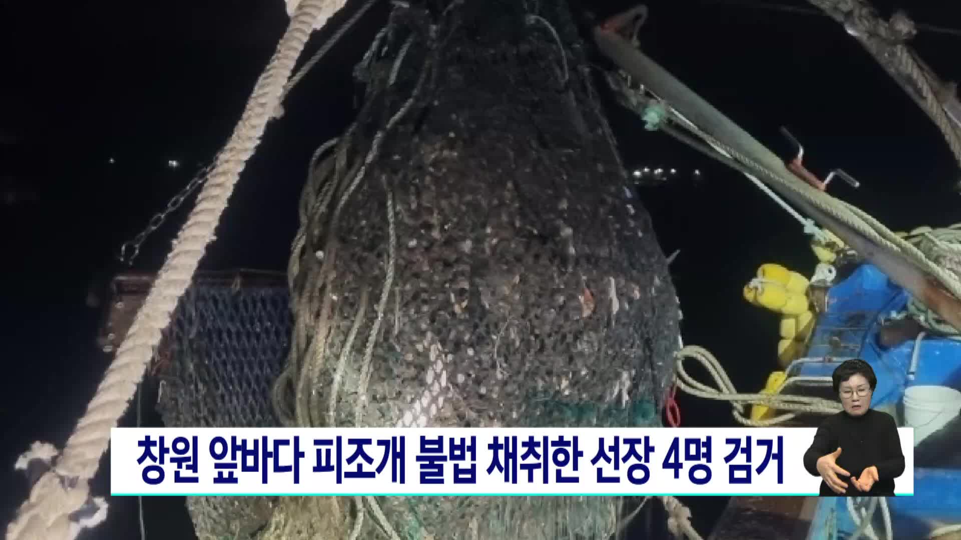 창원 앞바다서 피조개 불법 채취한 선장 4명 검거