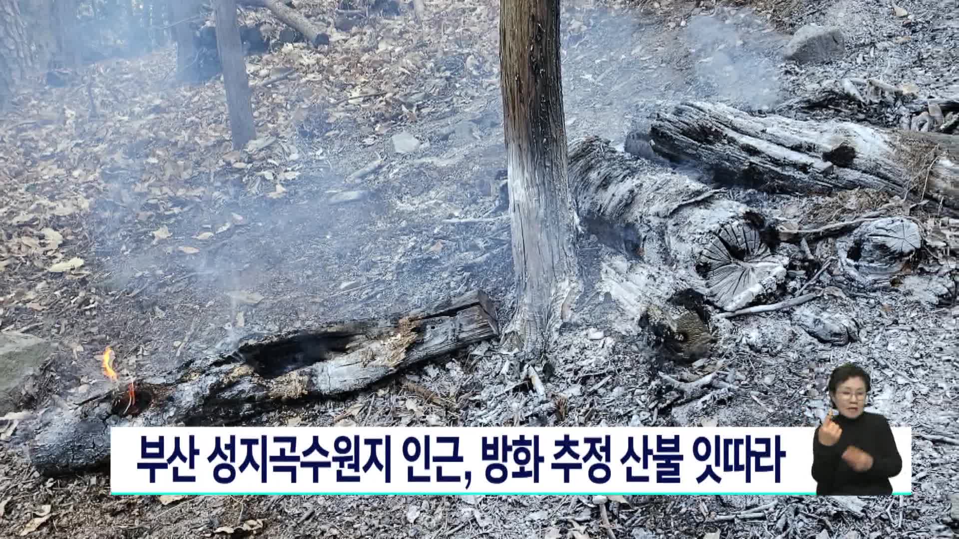 부산 성지곡수원지 인근, 방화추정 산불 잇따라