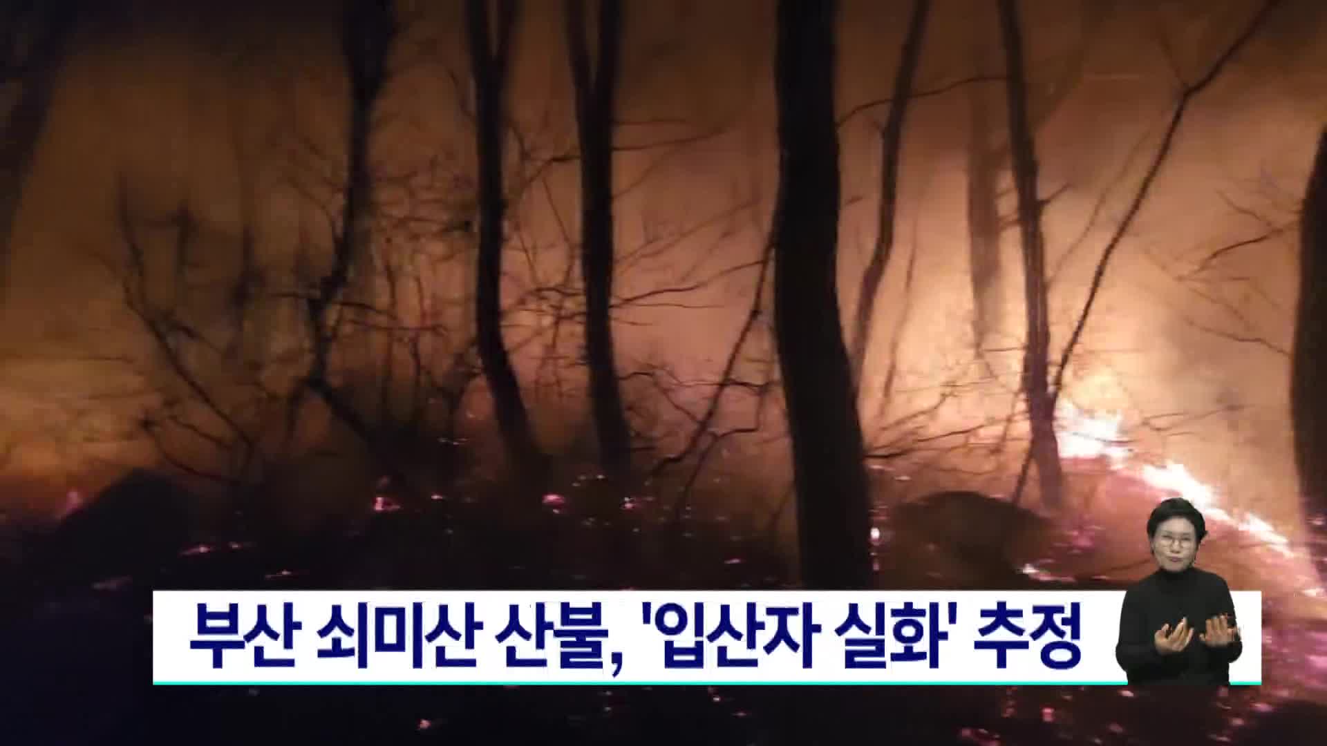 부산 쇠미산 산불, '입산자 실화' 추정