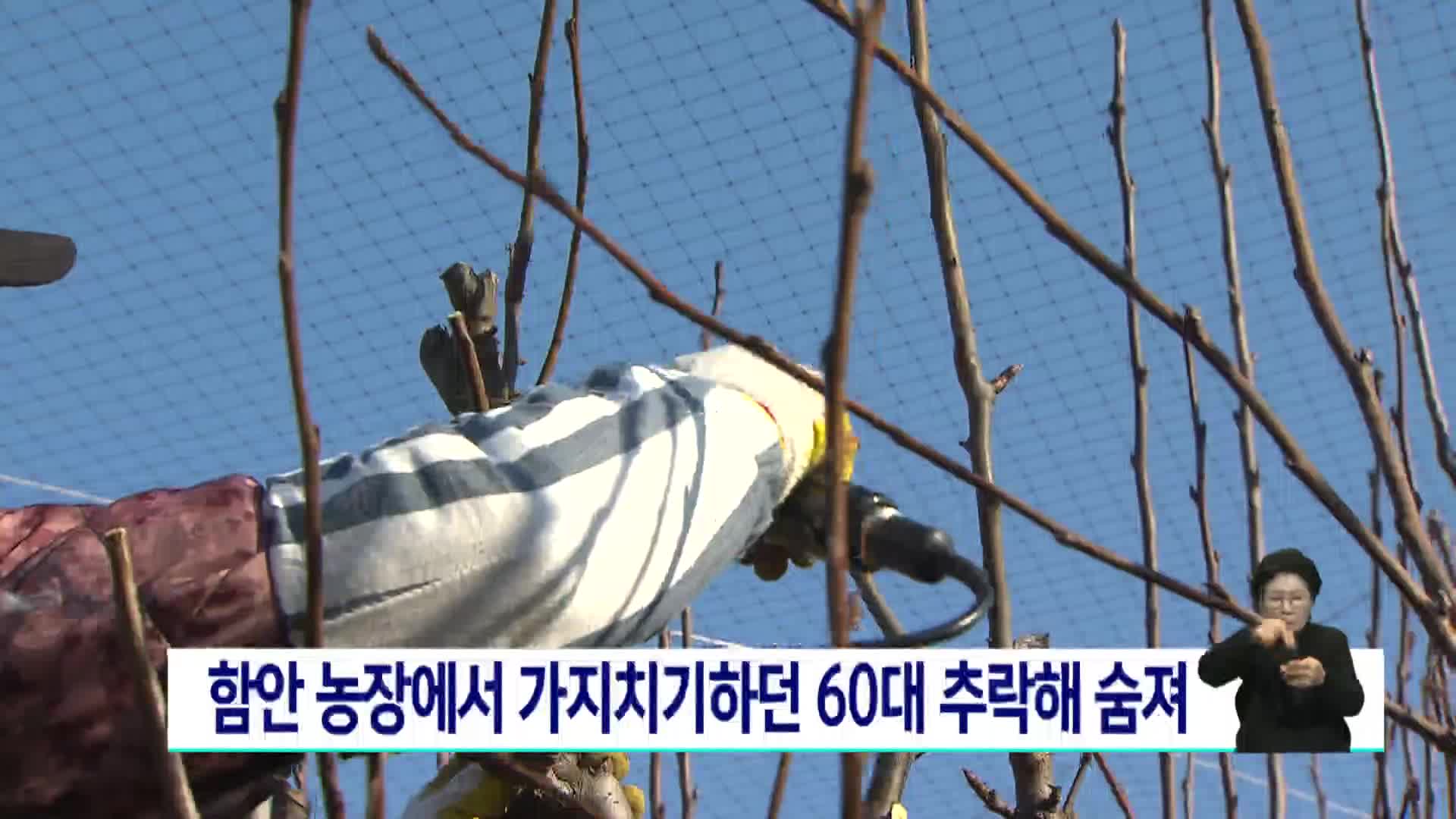 함안 농장에서 가지치기하던 60대 추락해 숨져 