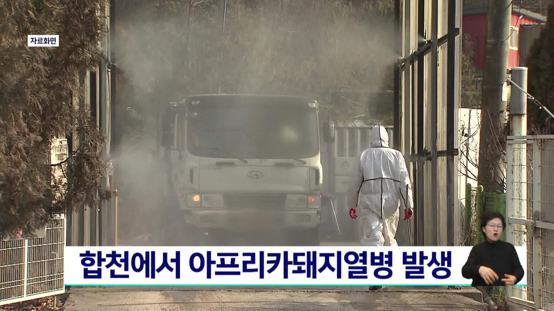 합천에서 아프리카돼지열병, 경남만 네 번째