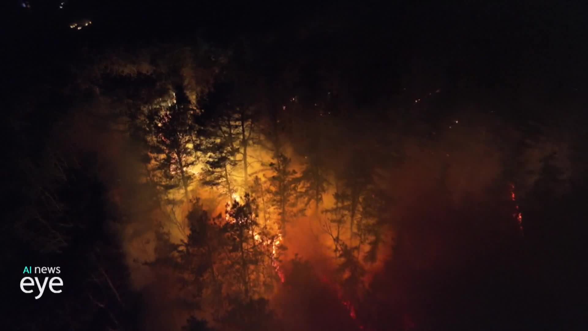 올해 첫 대형산불 함양군 사후 대책 마련