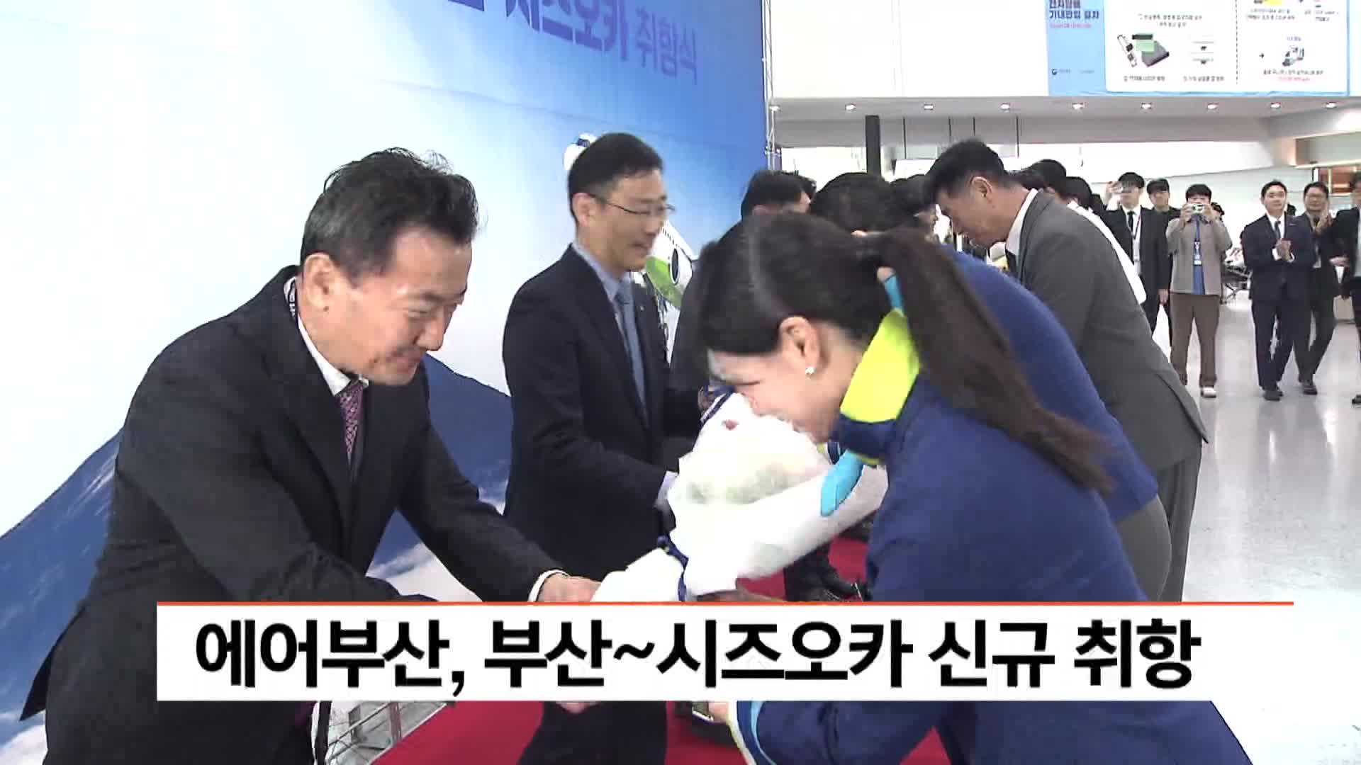 에어부산, 부산~시즈오카 신규 취항