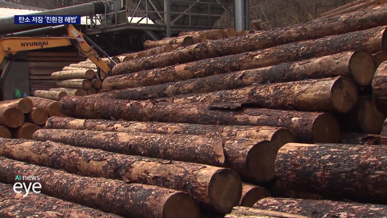 산불 피해목 재활용, 탄소 저장 효과 기대