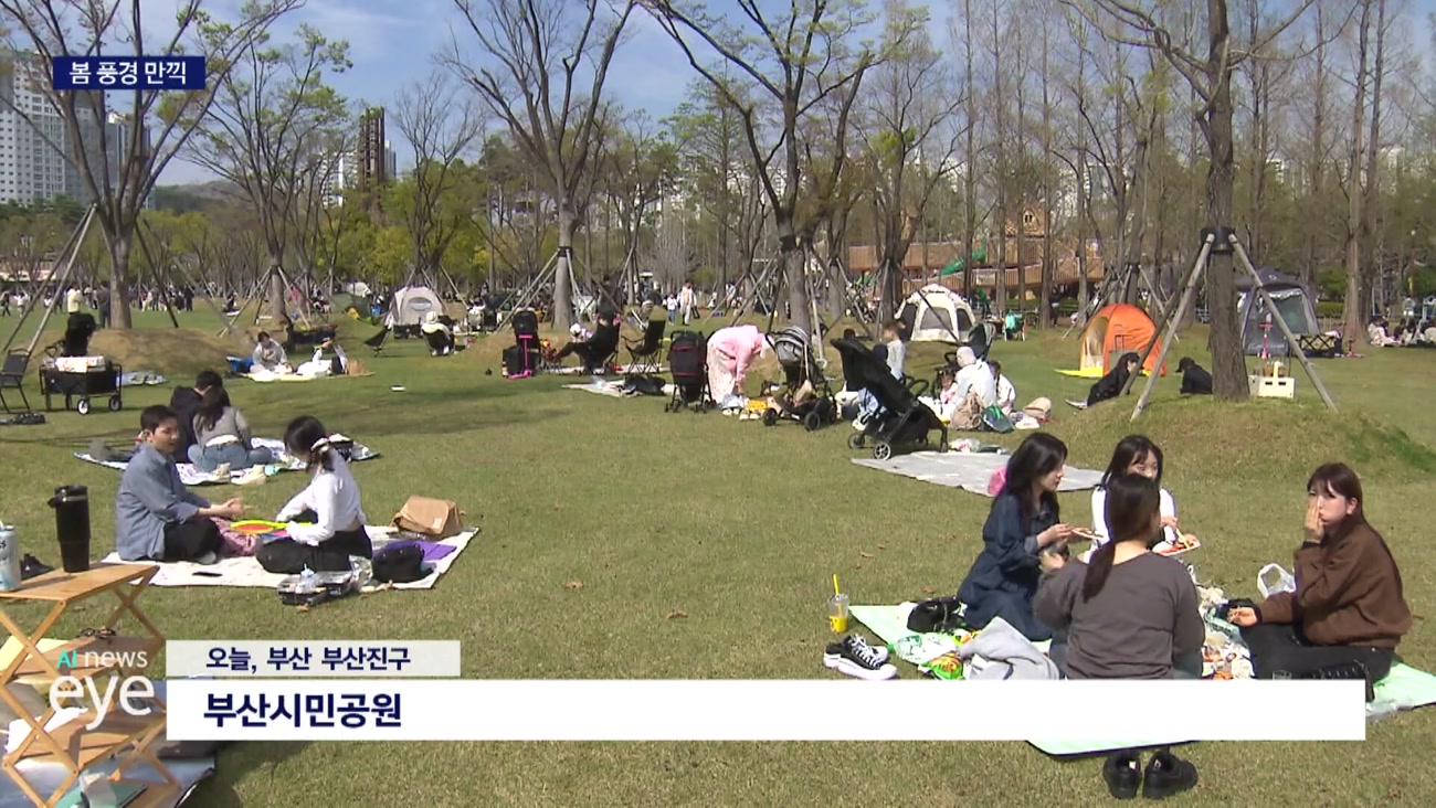 시민공원 잔디공원 개방, 부산의 새로운 봄 풍경