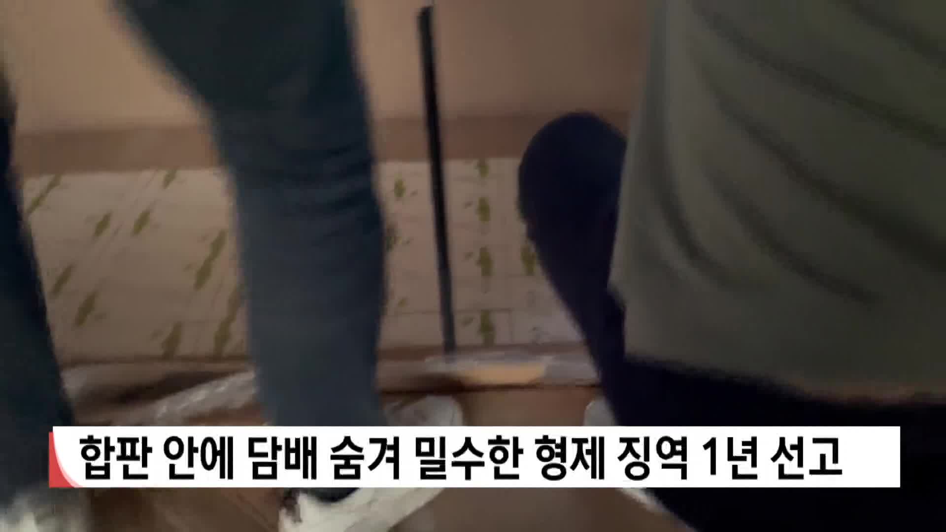 합판 안에 담배 숨겨 밀수한 형제 징역 1년 선고