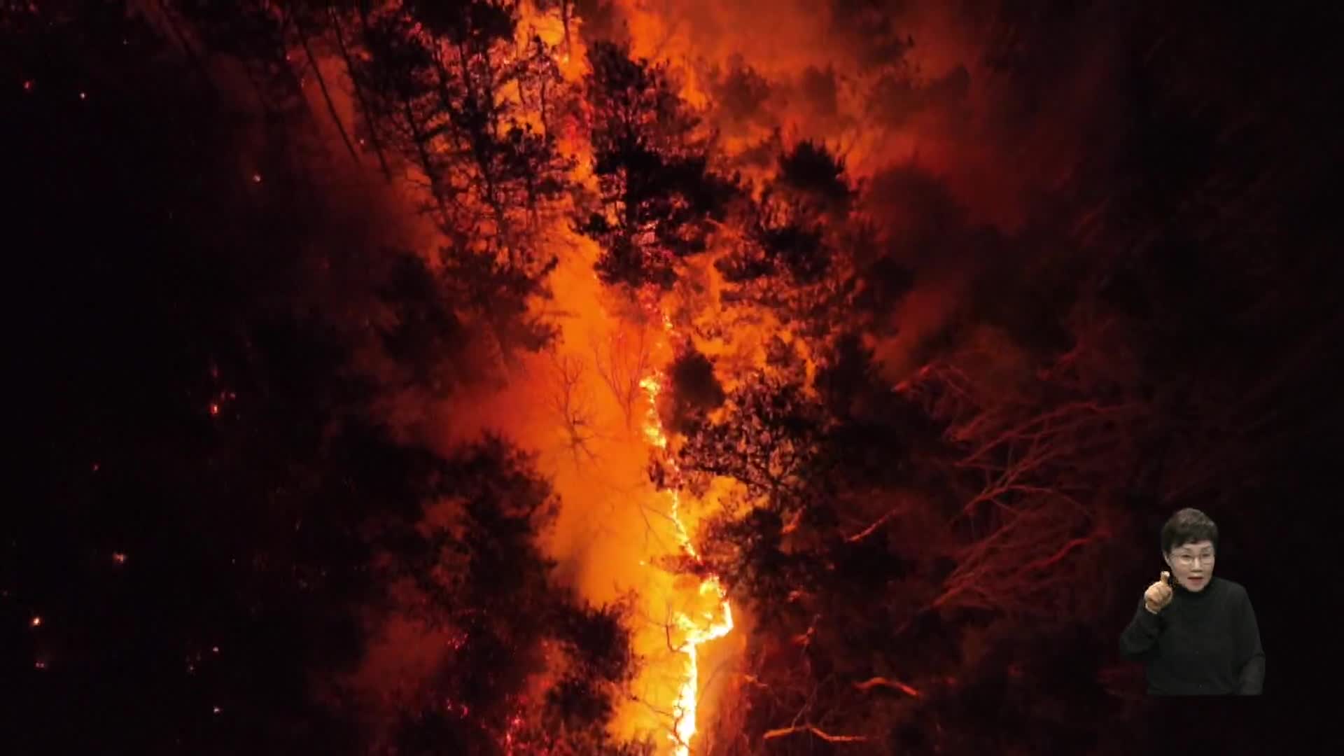 함양 산불 방화범 '봉대산 불다람쥐' 구속 기소 