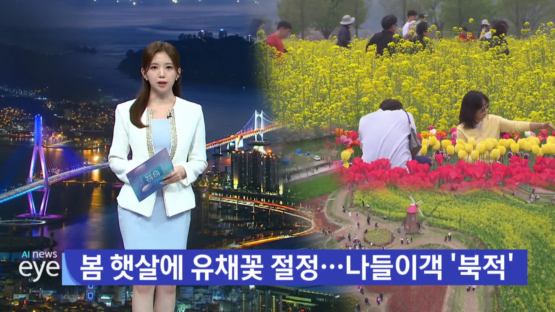 낙동강변 유채꽃 군락 '장관' 상춘객 몰려 