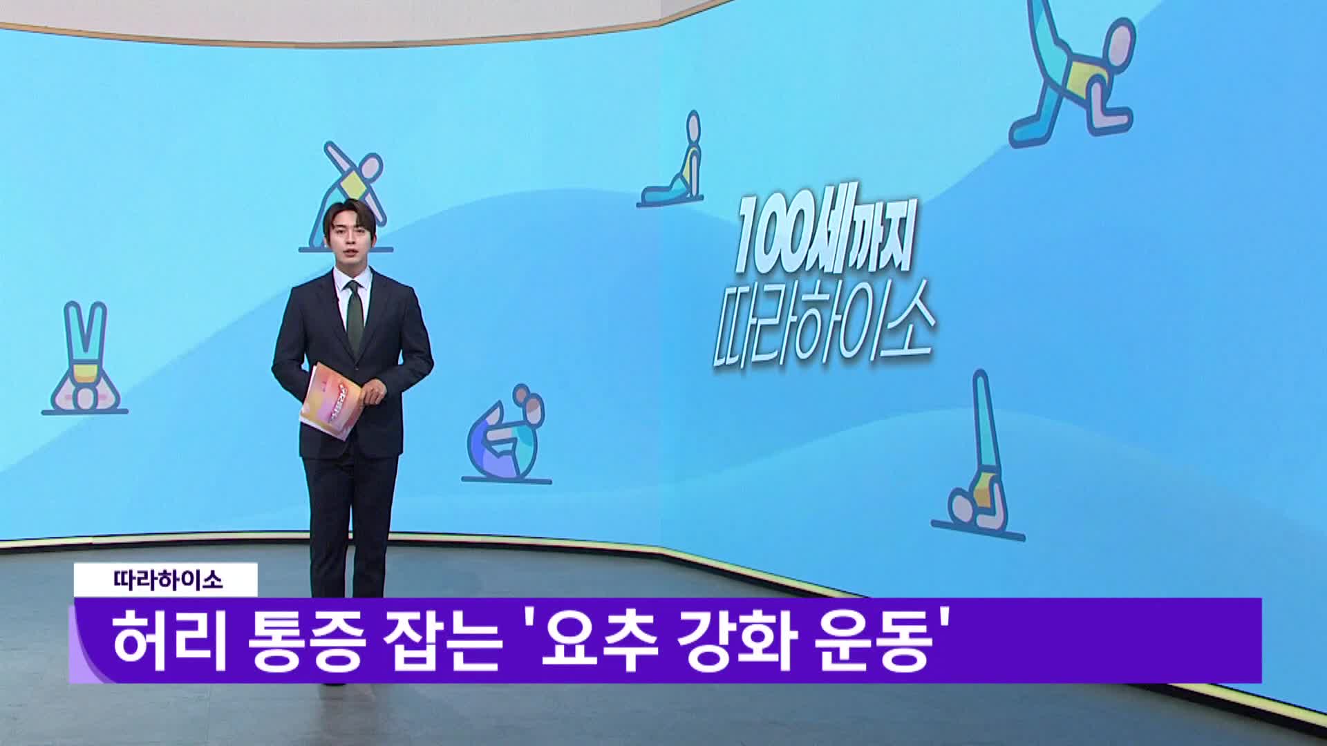 [따라하이소]-허리 통증 잡는 '요추 강화 운동'