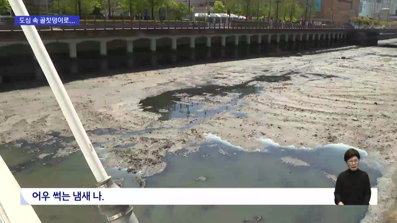 바닥 드러낸 동천..기온 오르자 악취 확산