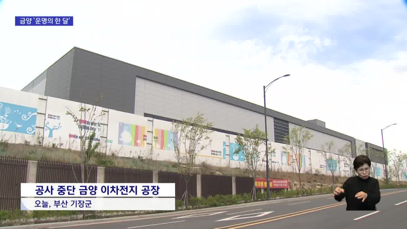 1년 넘게 거래 정지 '금양'...상장폐지 기로에