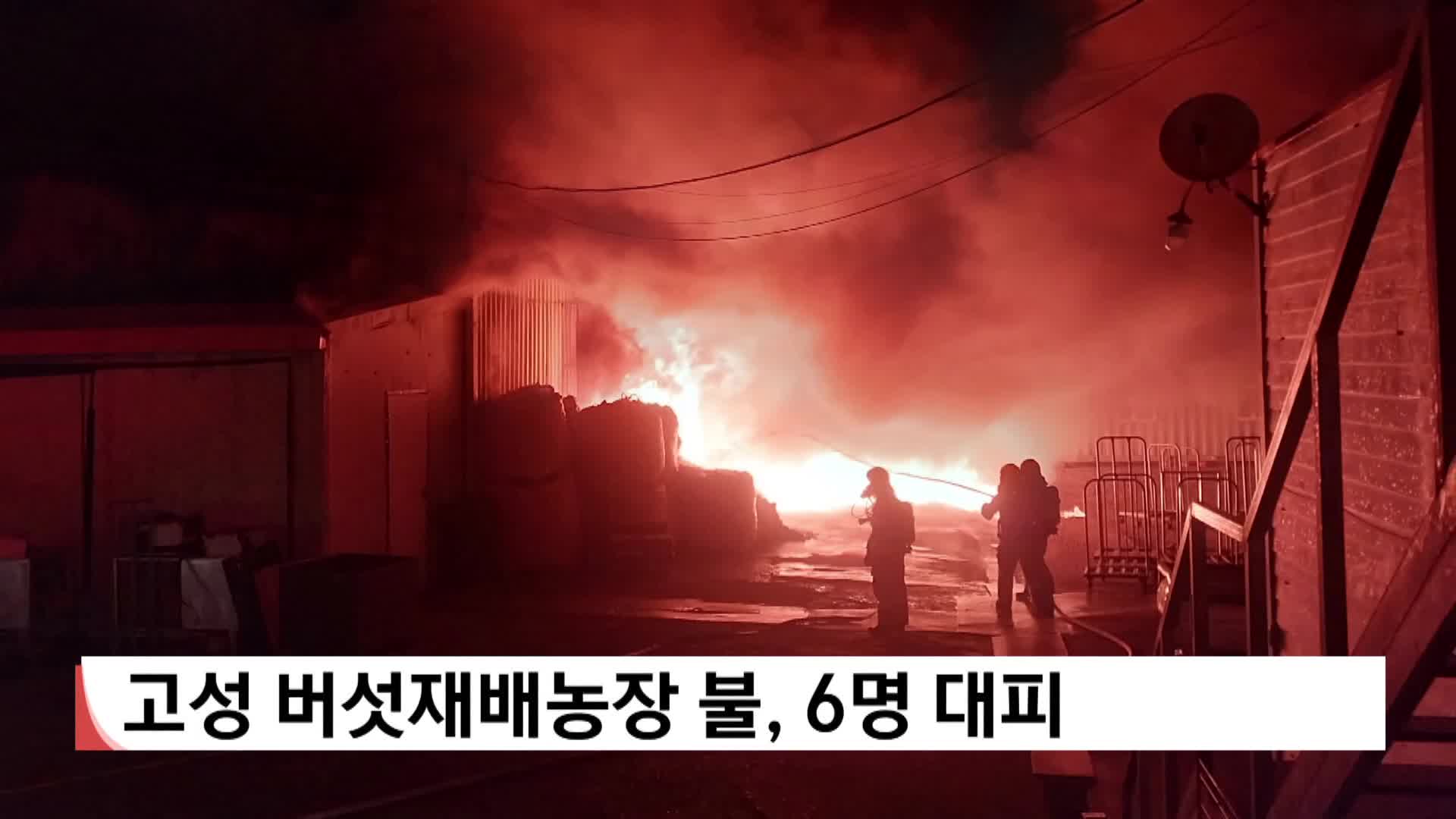 고성 버섯재배농장 불, 6명 대피