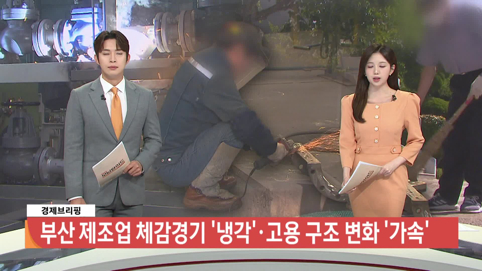 [경제브리핑]-지역 제조업 경기 '냉각'