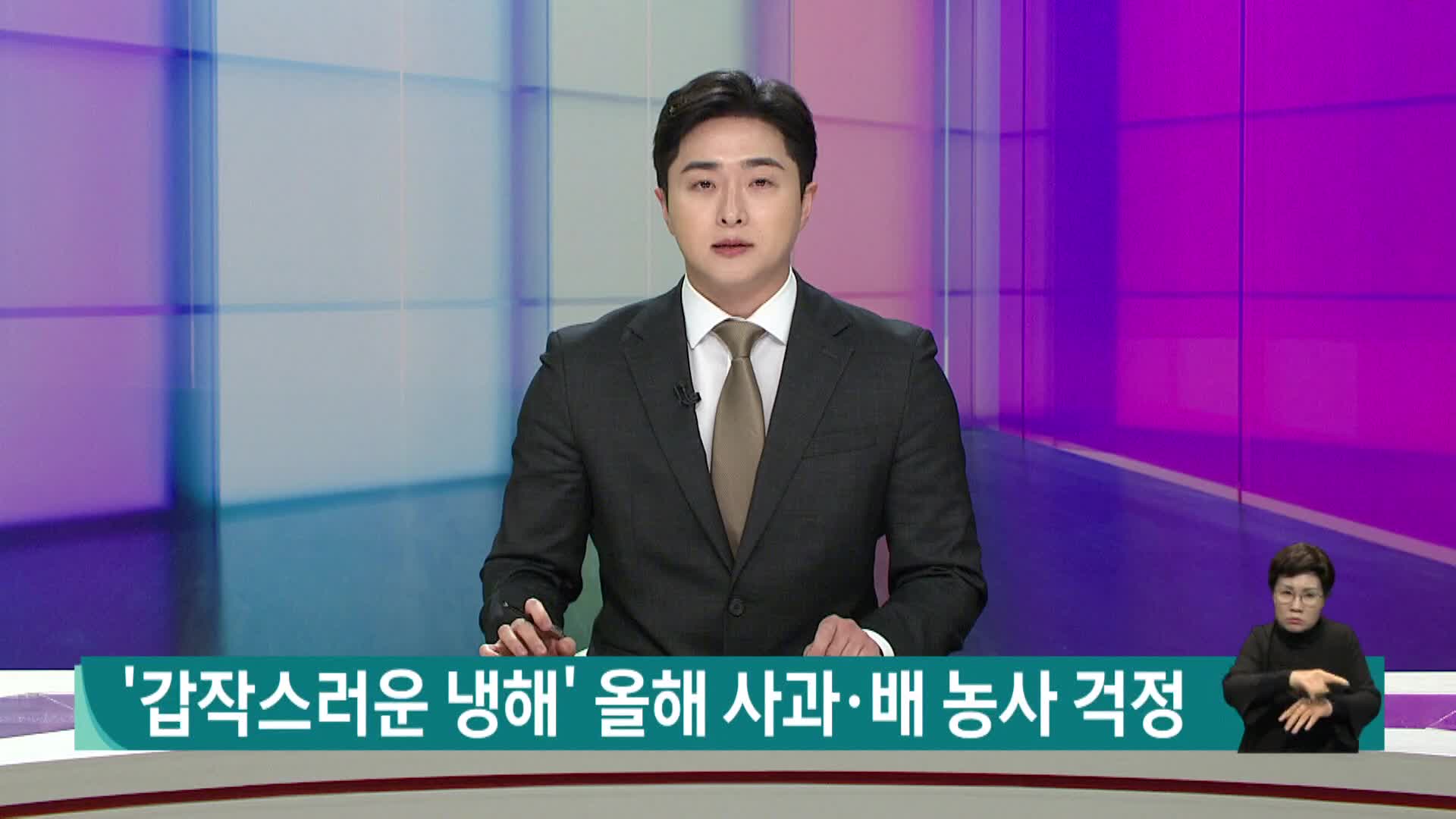 [현장]'갑작스런 냉해' 올해 사과, 배 농사 어떡하나