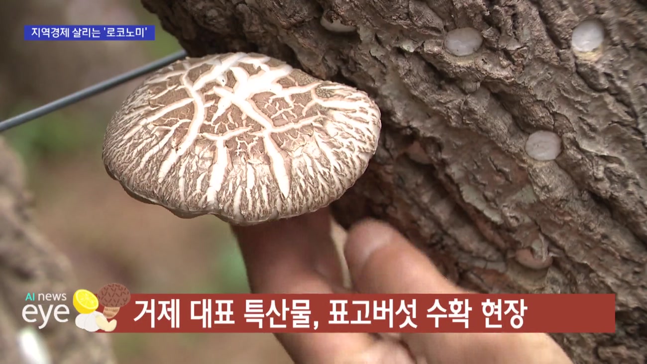 [자랑스러운 부산 경남] 지역 특산물 관광상품화..남해안 '로코노미' 뜬다